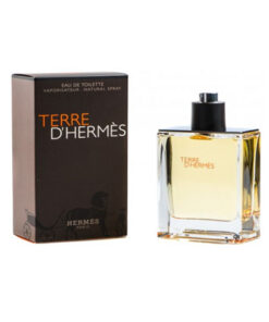 Hermes Terre D’Hermes Pure Parfum Perfume for Men 75ml